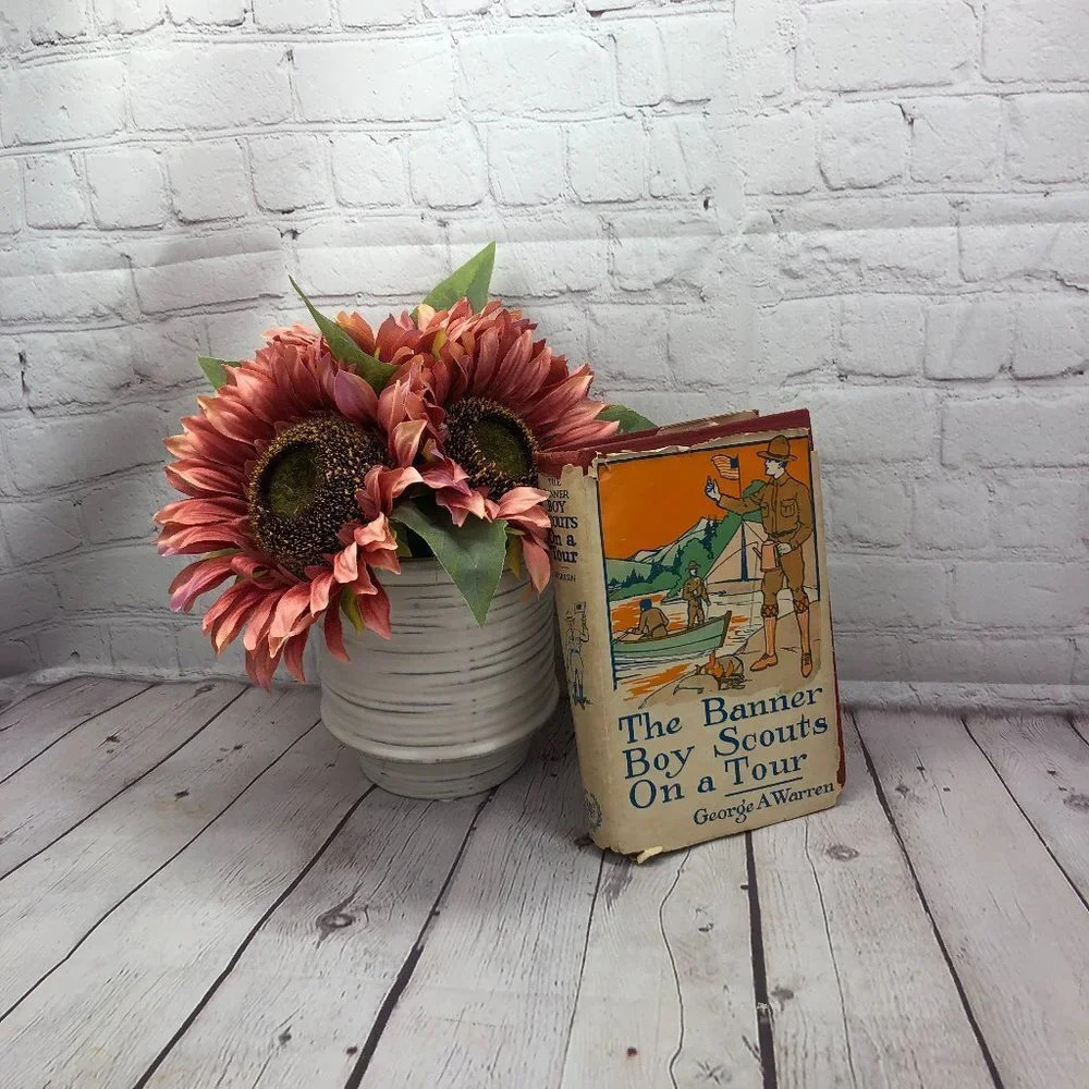 vintage The Banner Boy Scouts on a Tour book 1934